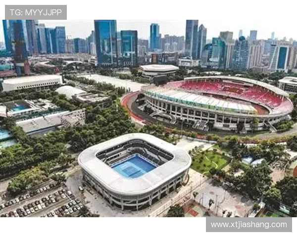 从网球重返世界第一的关键起点全面解析并勾勒未来发展蓝图新势头